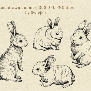 Digital Clipart, Doodle Clipart, Easter Bunnies, Bunny Clipart image 2