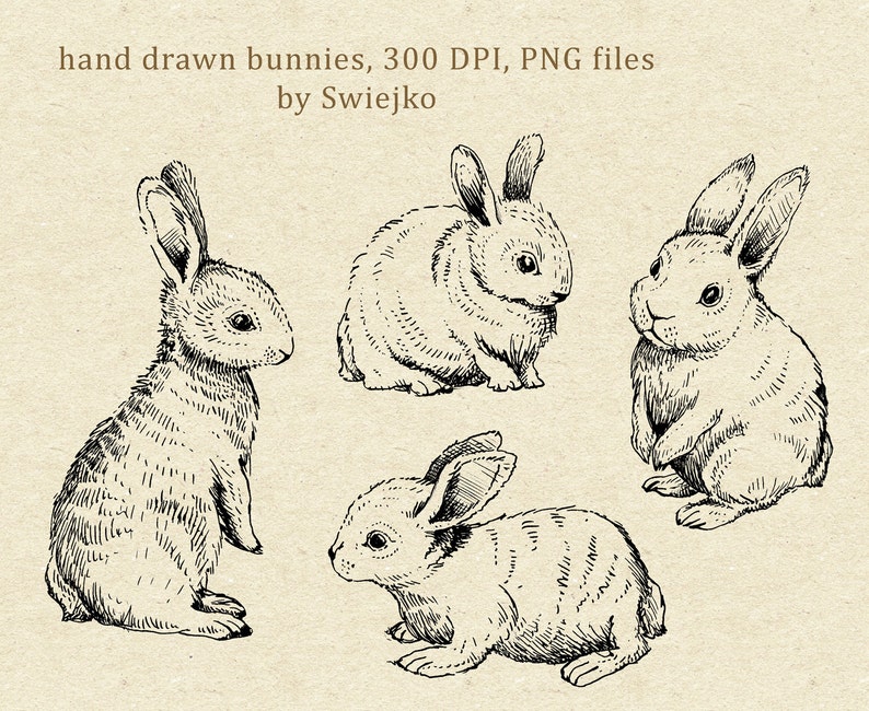 Digital Clipart, Doodle Clipart, Easter Bunnies, Bunny Clipart image 2