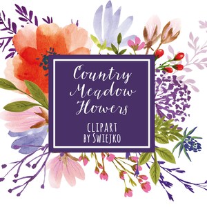 Watercolor Flower Clipart, Hand-Painted Poppies, Country Meadow (Printable)