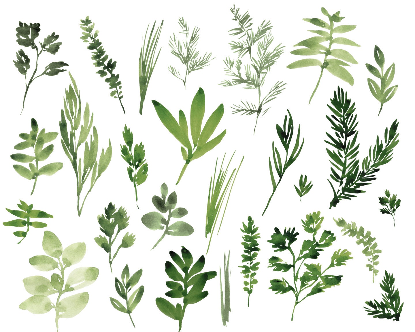 Digitale Clipart Aquarell Kräuter von Hand bemalt Blätter | Etsy