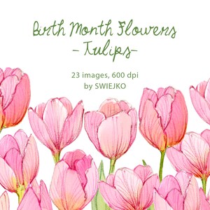 Tulip clipart, Birth Month Flowers, AprilFlower, watercolor clipart set, hand painted floral clip art, tulips, spring, floral clipart