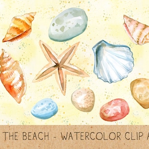 Summer Clipart, Digital Shells, Stones, Starfish, Sand, Repeatable Background, Watercolor Clipart