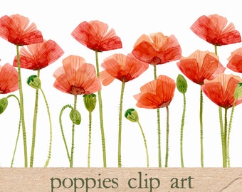 Digital Clipart, Watercolor Poppies, Flower Clipart