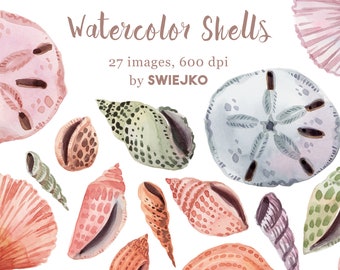 Shells, Sand Dollars, Beach treasures Clip Art, hand painted with watercolor, ocean, sea, coastal, seashell, nature, beach, summer, vacation