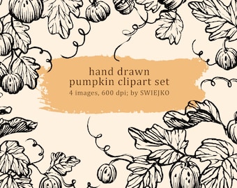 Hand drawn pumpkin clipart, autumn clipart, pumpkin illustration, stationery decor, digital clipart, digital pumpkin