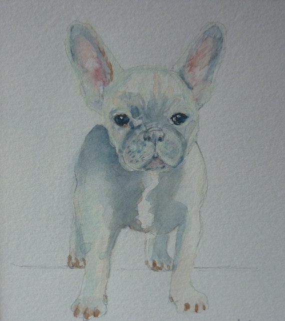 original french bulldog