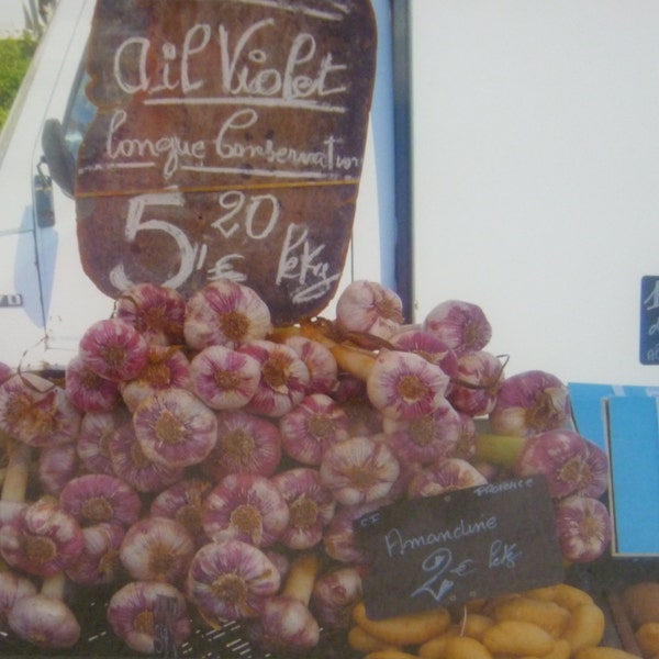 Ail Violet Garlic Provence, photographic print, French market, vegetable market,veggie, garlic, South of France, home decor, home, vegetable