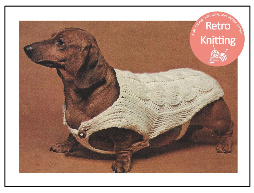 Dachshund Dog Coat Knitting Pattern, PDF Knitting Pattern Etsy