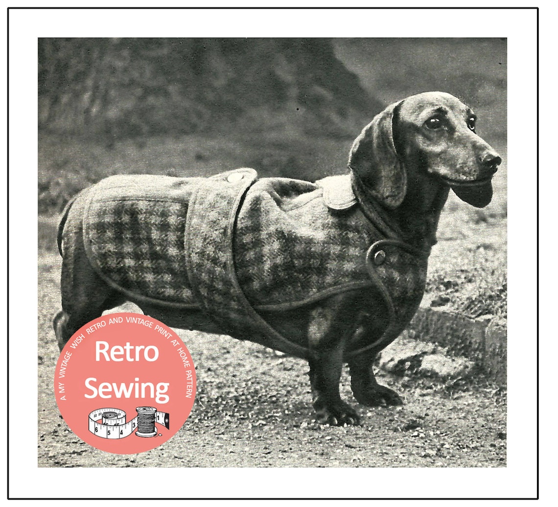 Dachshund Dog Coat Sewing Pattern Paper Version Etsy UK