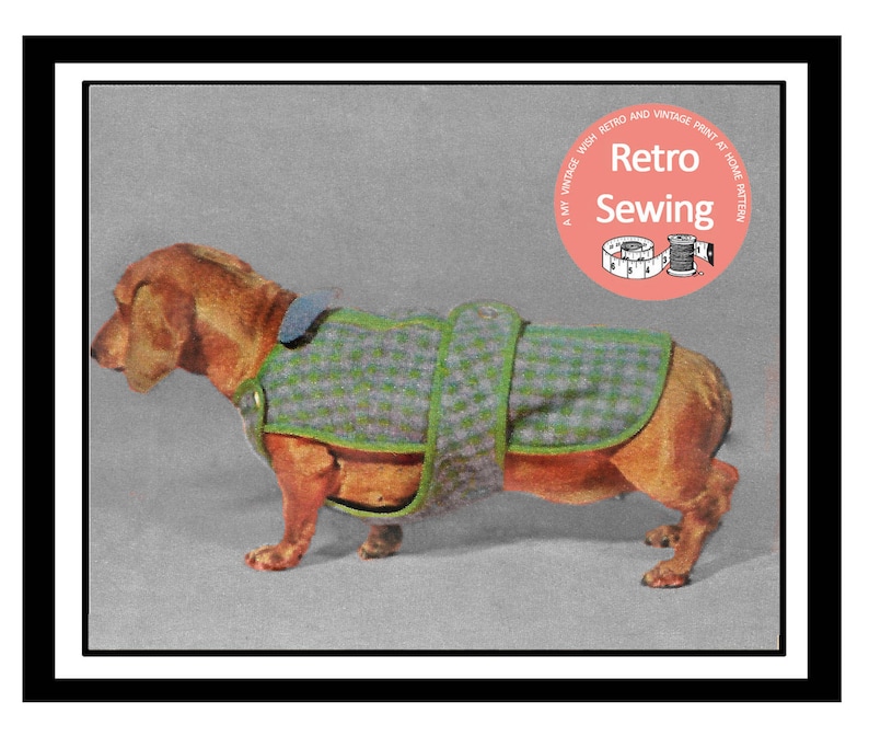 Dachshund Dog Coat Sewing Pattern PDF Sewing Pattern Etsy