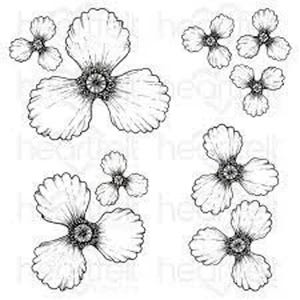 wild poppy stamp set