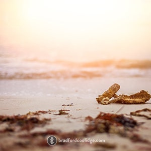 Key West, Florida - Beach Sunset (Color Print)