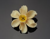 1940s Plastic Pin Brooch, Vintage Flower Pin Brooch of Daffodil