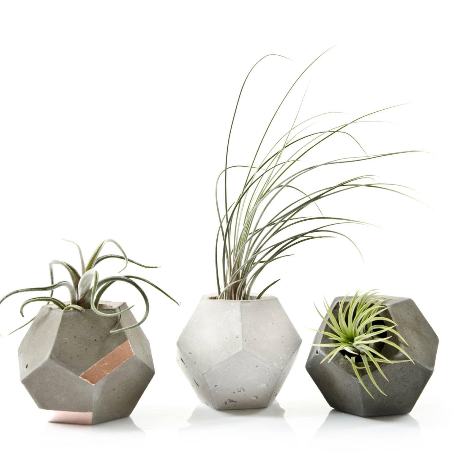 Dodecahedron Concrete Air Plant Holder, Geometric Tillandsia Planter, Décor Hygge Moderne, Intérieur