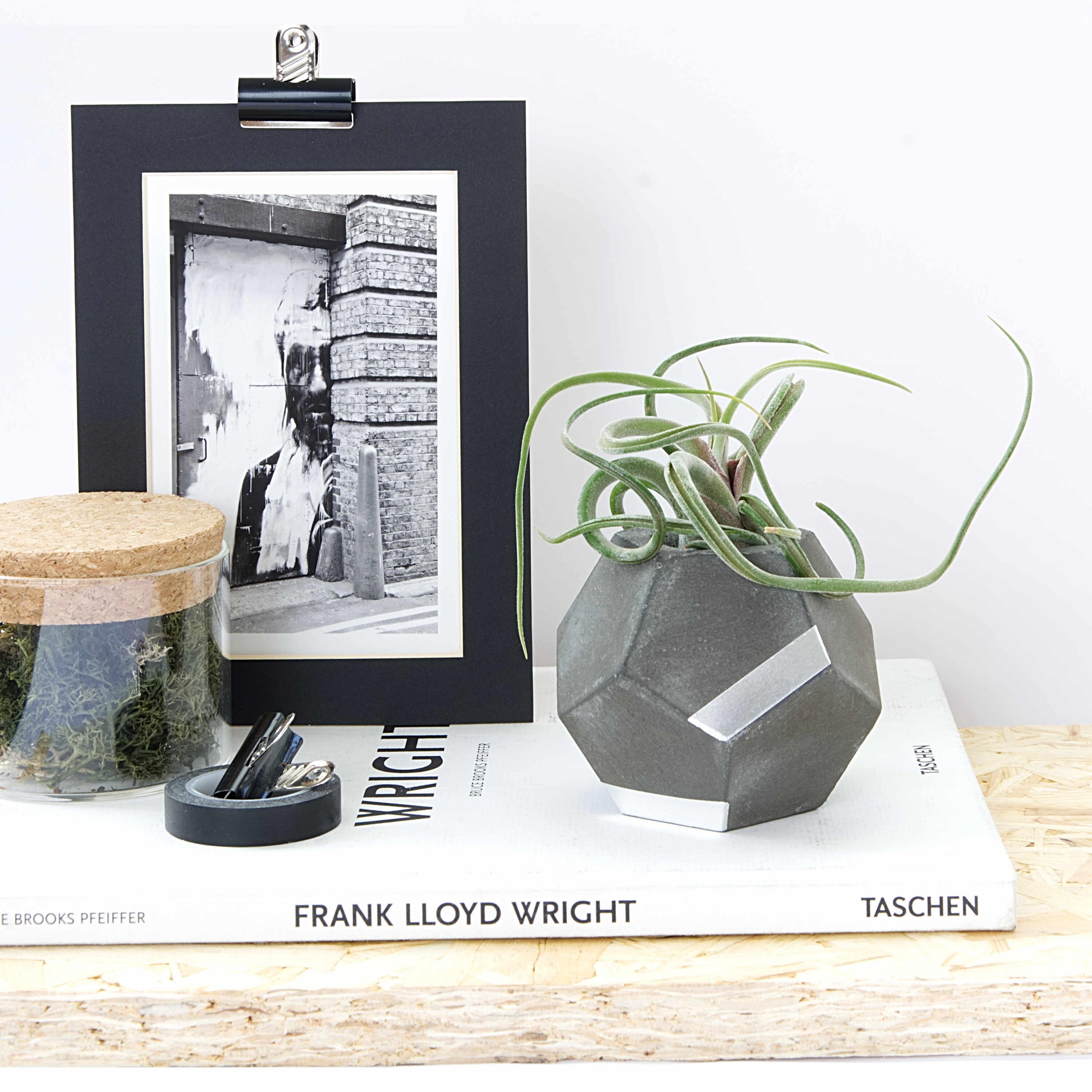 Dark Dodecahedron Geometric Concrete Silver Tillandsia Planter, Modern Hygge Air Plant Vase, Décor e