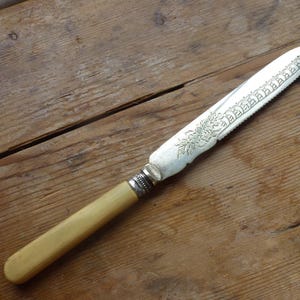 May include: A silver butter knife with a bone handle. The blade has an ornate design and a serrated edge.
