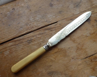 Antique EPNS cake knife silver collar hallmarked 1908 Sheffield