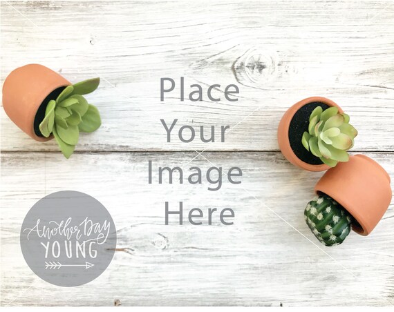 Mockup Distressed Wood And Succulents Styled Wood Mockup