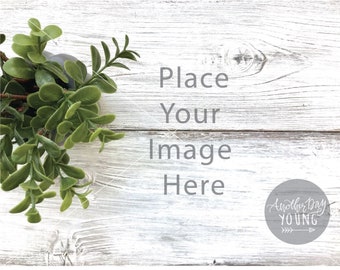 Mockup Distressed Wood and Boxwood / Styled Wood Mockup / Wood Background Mockup / JPG Mockup / Wood Desktop Mockup / Boxwood Mockup Pic