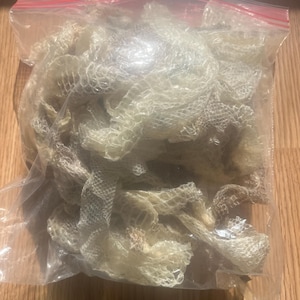 May include: A clear plastic bag filled with multiple pieces of shed snake skin. The snake skin is a light tan color and has a delicate, textured appearance. The bag has a red zipper closure.