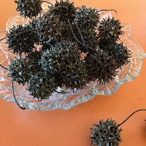 May include: A glass bowl filled with dried, spiky, brown seed pods. The bowl is on a bright orange surface. One seed pod is on the surface outside of the bowl.