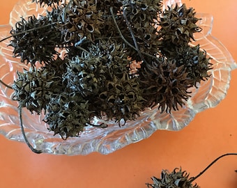Witches Burrs 50 PC  Spells Wicca Magic