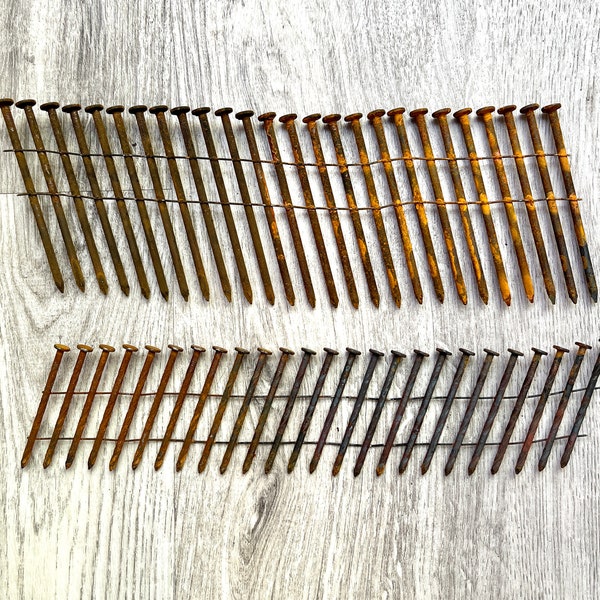 Rusty Nails, Strip of 25 wire connected, 3" Long Rusty Nails OR 2" Long Spiral Shank Rusty Nails, Rust Printing, Eco Printing Supply