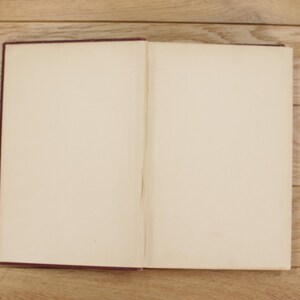 Pu&ograve; includere: Un libro chiuso con una copertina color borgogna e pagine bianche vuote.