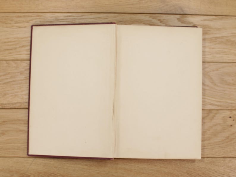 Pu&ograve; includere: Un libro chiuso con una copertina color borgogna e pagine bianche vuote.