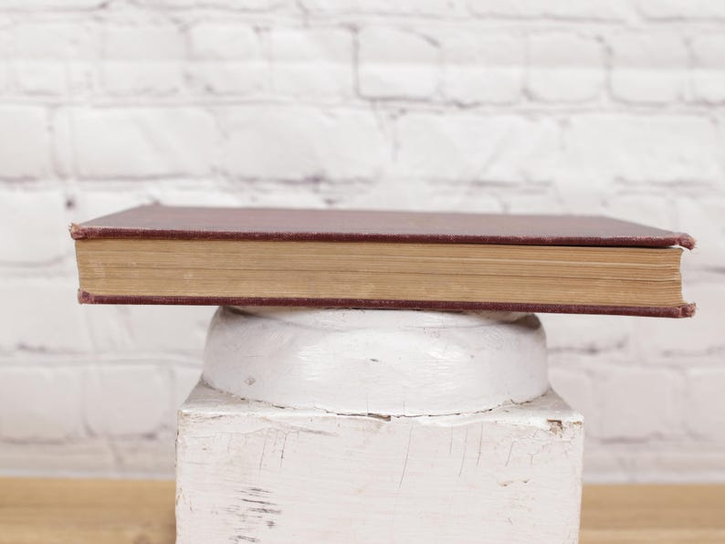 Pu&ograve; includere: Un libro chiuso con copertina rigida, di colore marrone con dorso dorato, &egrave; appoggiato su un piedistallo bianco. Il piedistallo &egrave; su una superficie di legno verniciata di bianco.
