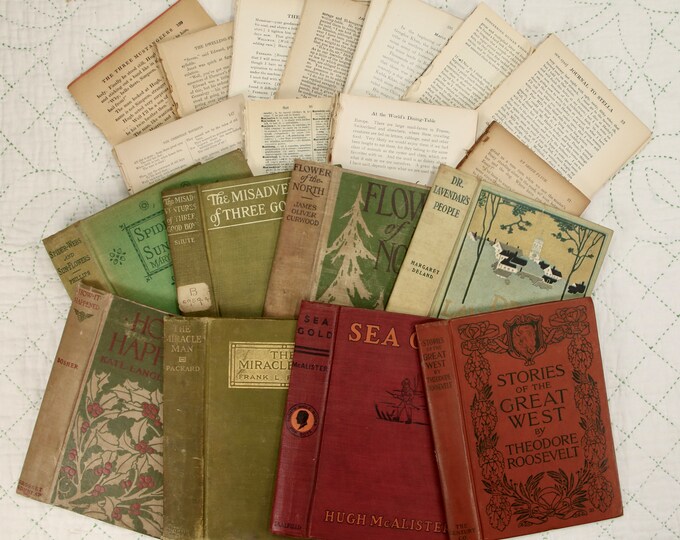 Vintage Decorative Book Covers Set of Two and 1 LB Book Text Pages FROM