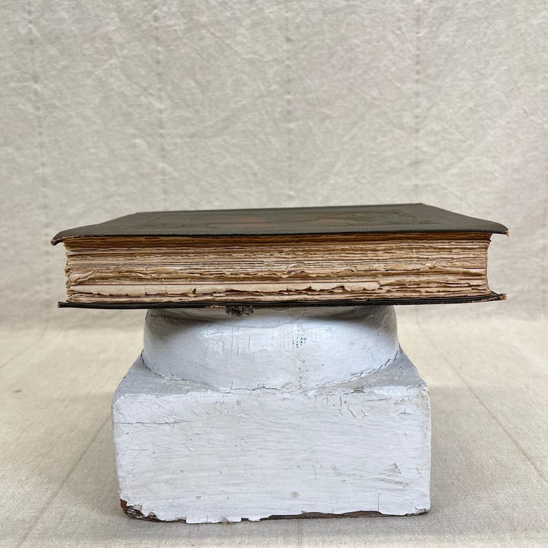 May include: A vintage, leather-bound book with aged, yellowed pages. The book rests on a white, pedestal-like stand. The book's cover is dark, and the pages show signs of wear, suggesting age and use. The stand has a distressed, textured appearance.