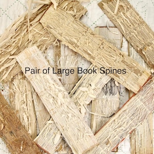 May include: A collection of handmade book spines, featuring a textured, natural aesthetic. The spines are rectangular, with visible stitching and frayed edges. The text "Pair of Large Book Spines" is visible.