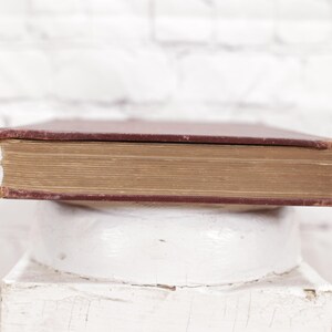 Pu&ograve; includere: Primo piano del dorso di un libro rilegato con copertina marrone e lettere dorate. Il libro &egrave; appoggiato su una superficie bianca.