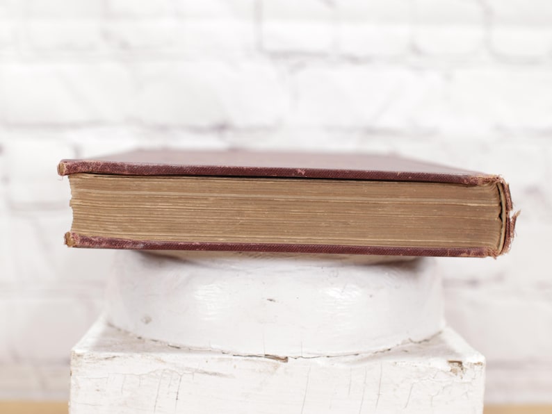 Pu&ograve; includere: Primo piano del dorso di un libro rilegato con copertina marrone e lettere dorate. Il libro &egrave; appoggiato su una superficie bianca.