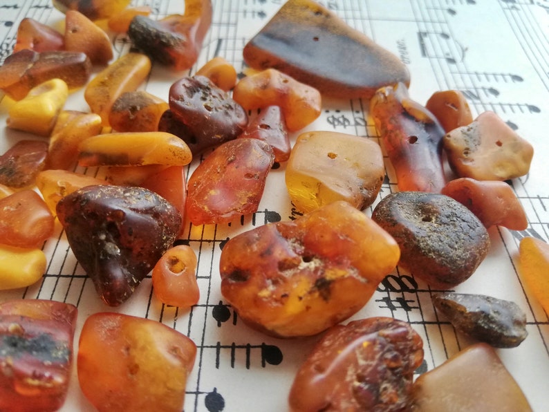 Natural Baltic Amber genuine lamber yellow egg yolk amber beads with drill hole lot of 50 40g1.4oz