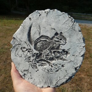 May include: A white ceramic round dish with a gray and black embossed image of a squirrel in a natural setting.