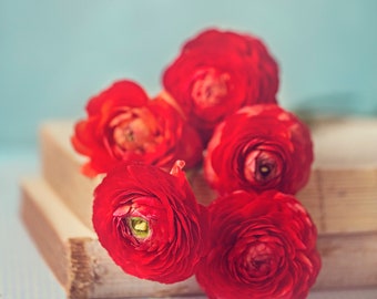 5 "x 5", lebendige Blumenfotografie, rote Ranunkel, Floral Wohnkultur, rote Wohnkultur, rote Ranunkel Wandkunst