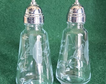 Set di sale e pepe Princess House Heritage EY13B