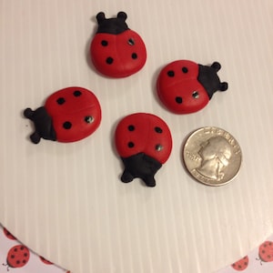 18   large ladybugs for your cupcakes or cake. can change color. Birthday, Baptism, Baby shower, sweet sixteen, christening