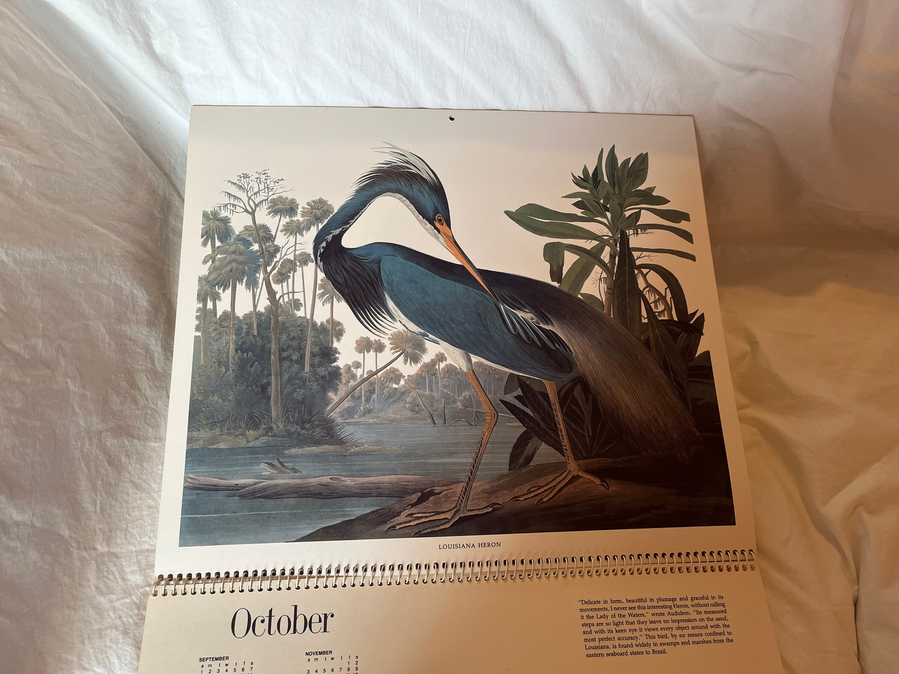 Etsy　America　of　1985　14　Vintage　Denmark　Audubon　Birds　Calendar　Color