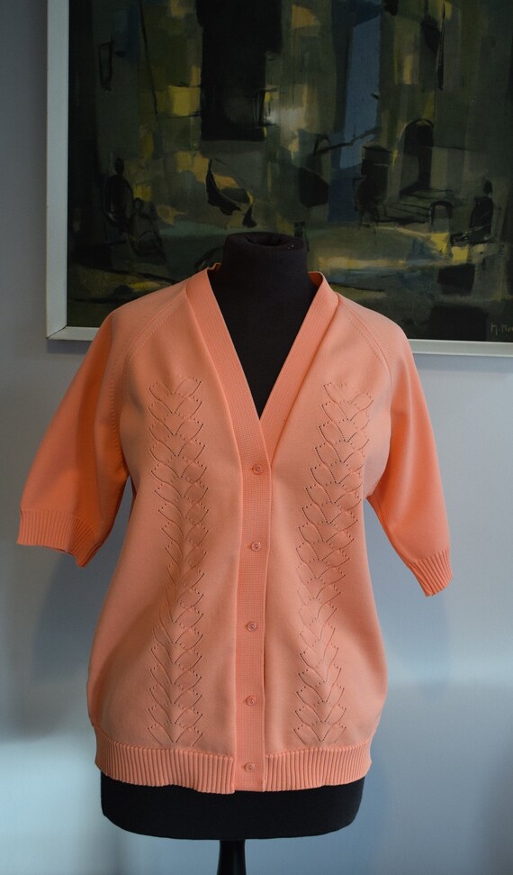 ladies jumpers size 12