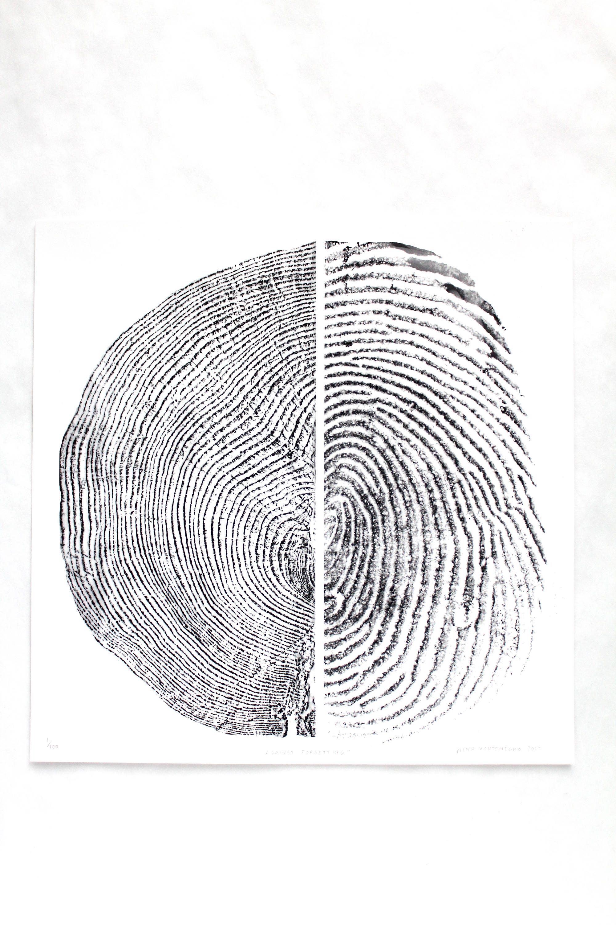 egyptisk geni Zealot Against Forgetting Fine Art Print Fingerprint and Tree Ring - Etsy