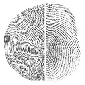 Against Forgetting Fine Art Print - Fingerprint and Tree Ring Rubbing