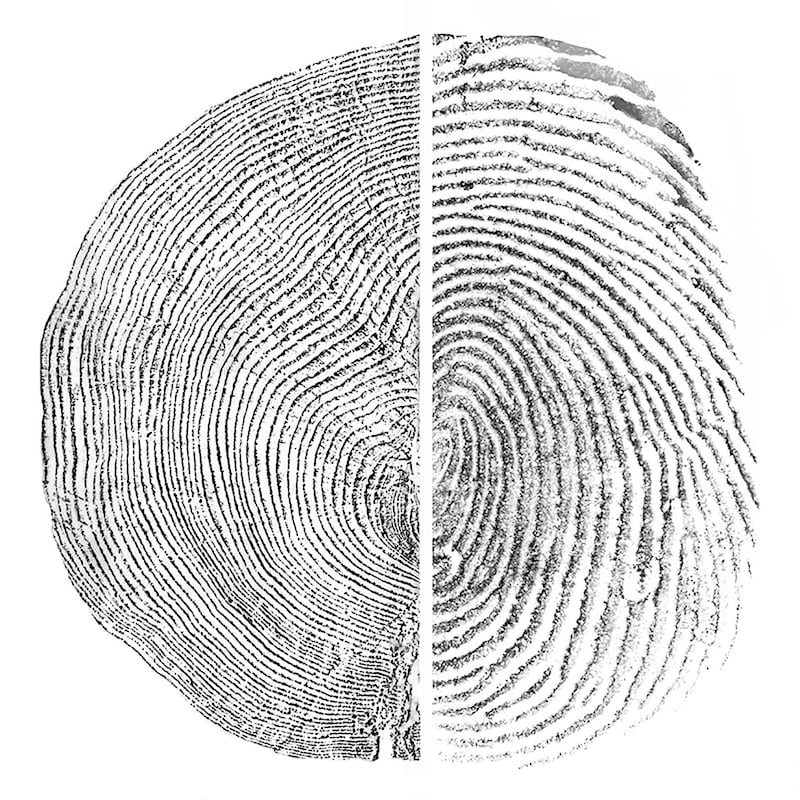 Tree and Fingerprint Art - Etsy
