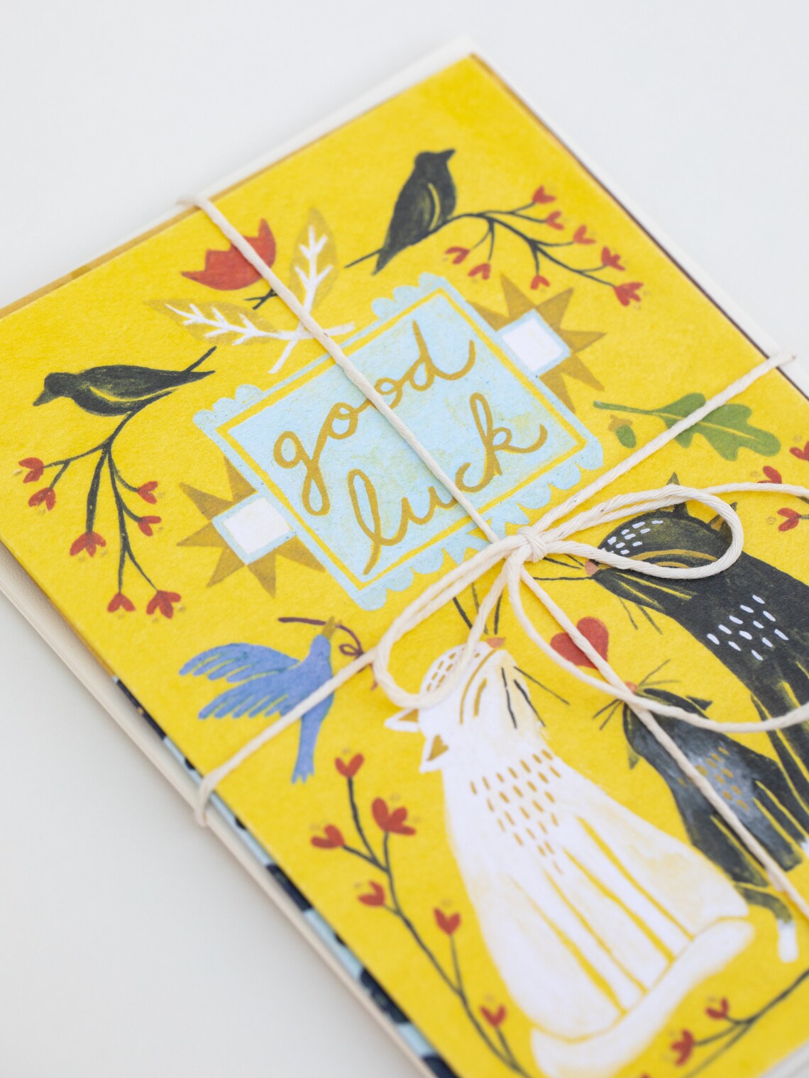 Greeting Card Set Blank Cards With Envelopes Art Note Cards Etsy