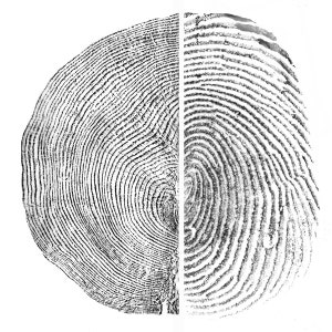 Against Forgetting Fine Art Print - Fingerprint and Tree Ring Rubbing