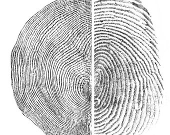 RESERVED FOR JAVVY: 21 inch Against Forgetting Fine Art Print - Fingerprint and Tree Ring Rubbing