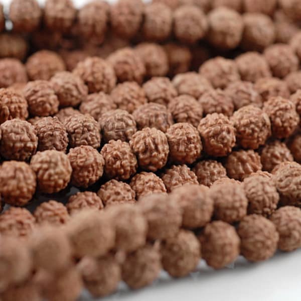 6mm Natural Rudraksha Bodhi Seed Gemstone Rare Mala Prayer Red Brown Round Loose Beads 23 inch 108 Beads (90182472-393)