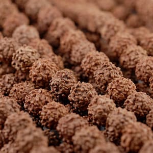 9mm Natural Rudraksha Bodhi Seed Gemstone Rare Mala Prayer Red Brown Round Loose Beads 40 inch 108 Beads (90182476-393)
